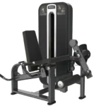 Dual Leg Extension / Leg Curl