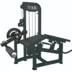 Dual Leg Extension / Leg Curl