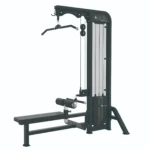 Dual pulldown / row